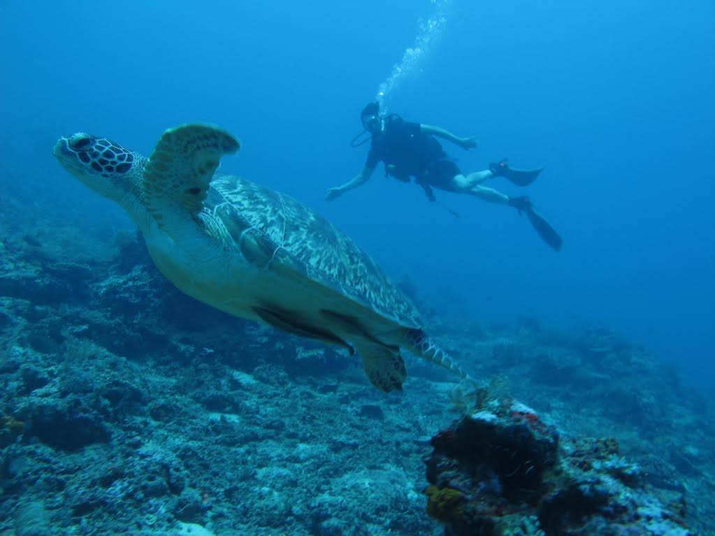 La Bila Dive Resort Amed