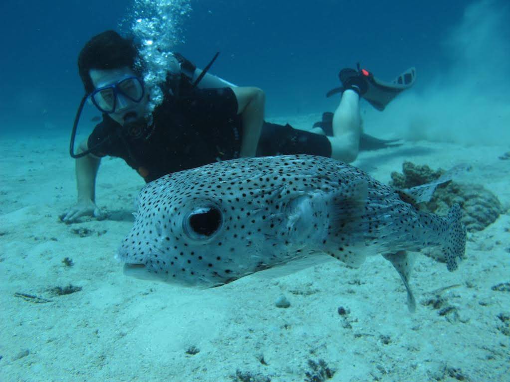 La Bila Dive Resort Amed