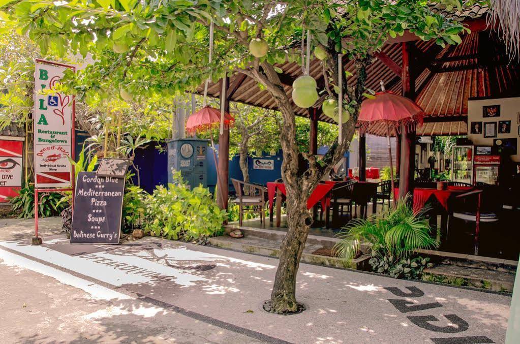 La Bila Dive Resort Amed