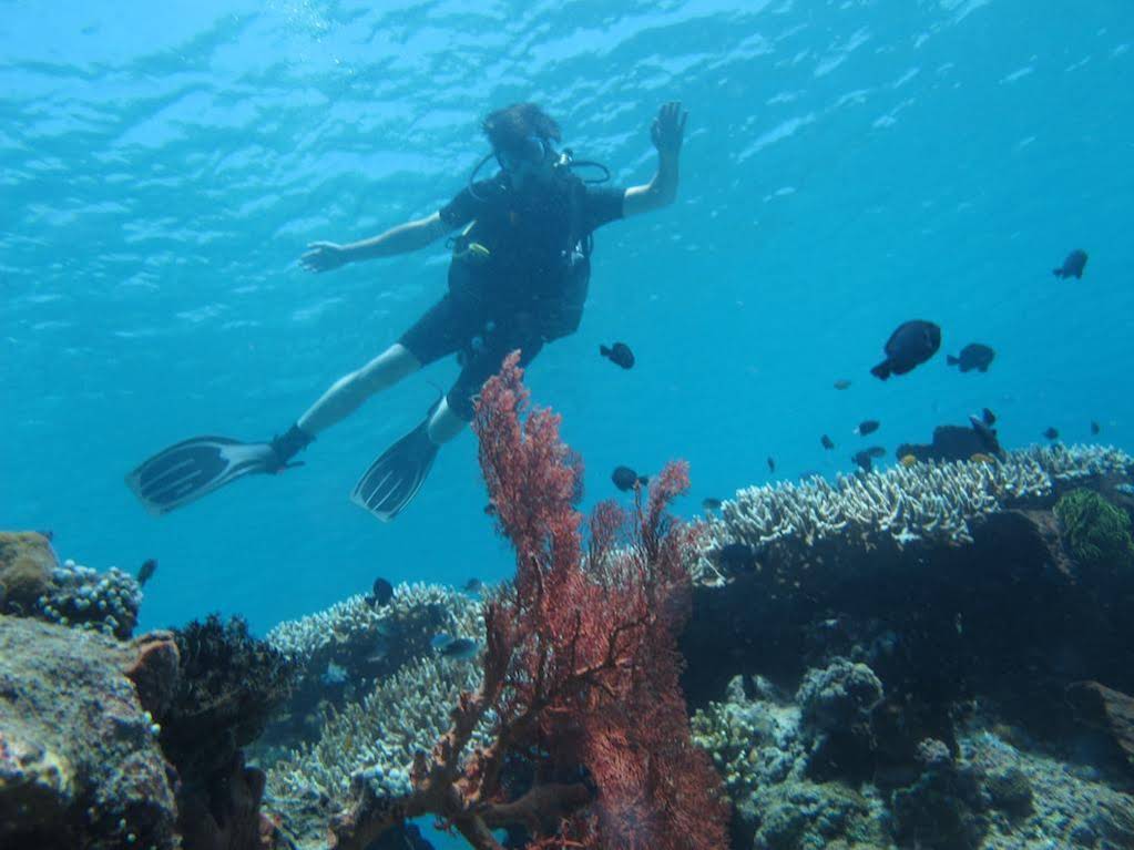 La Bila Dive Resort Amed
