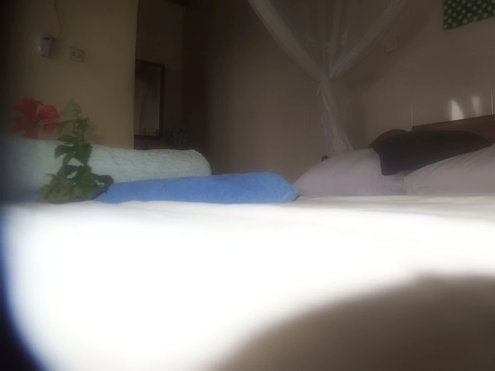 Bukit Indah Home Stay