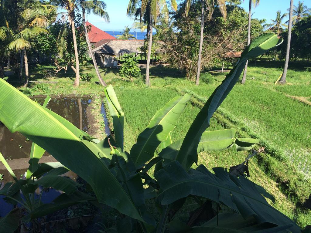 Kangkung Cottages
