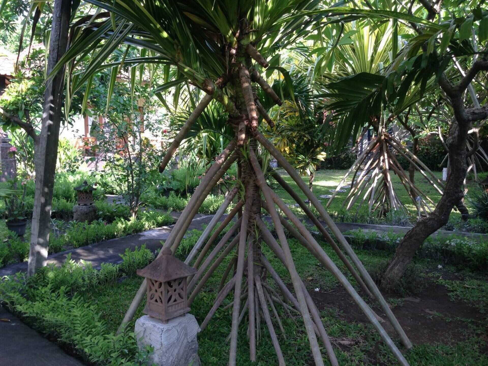 Kirana Homestay - Breeze Bungalow