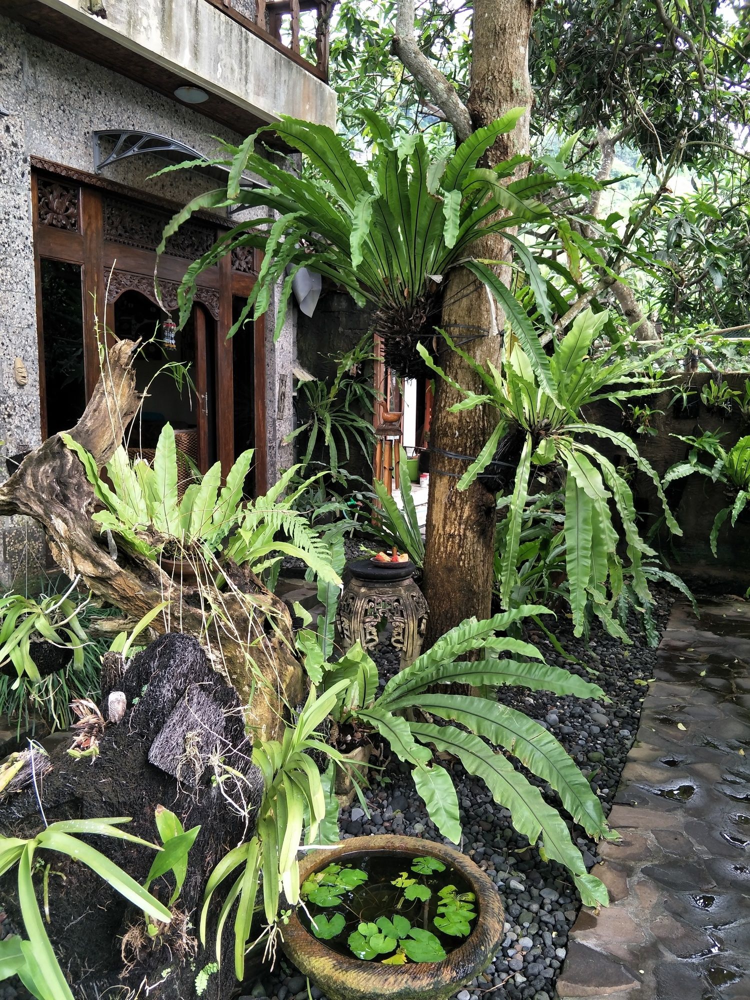 Temple Cafe & Seaside Cottages