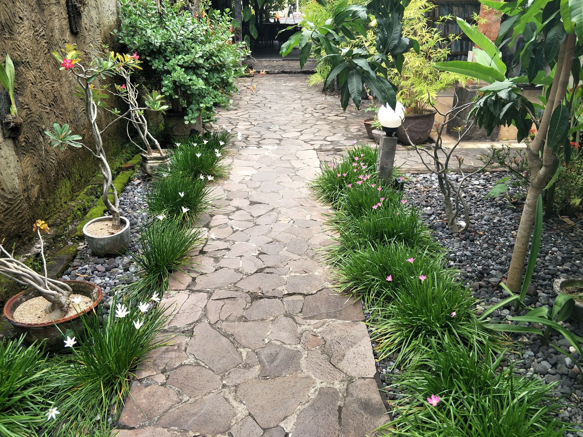 Temple Cafe & Seaside Cottages