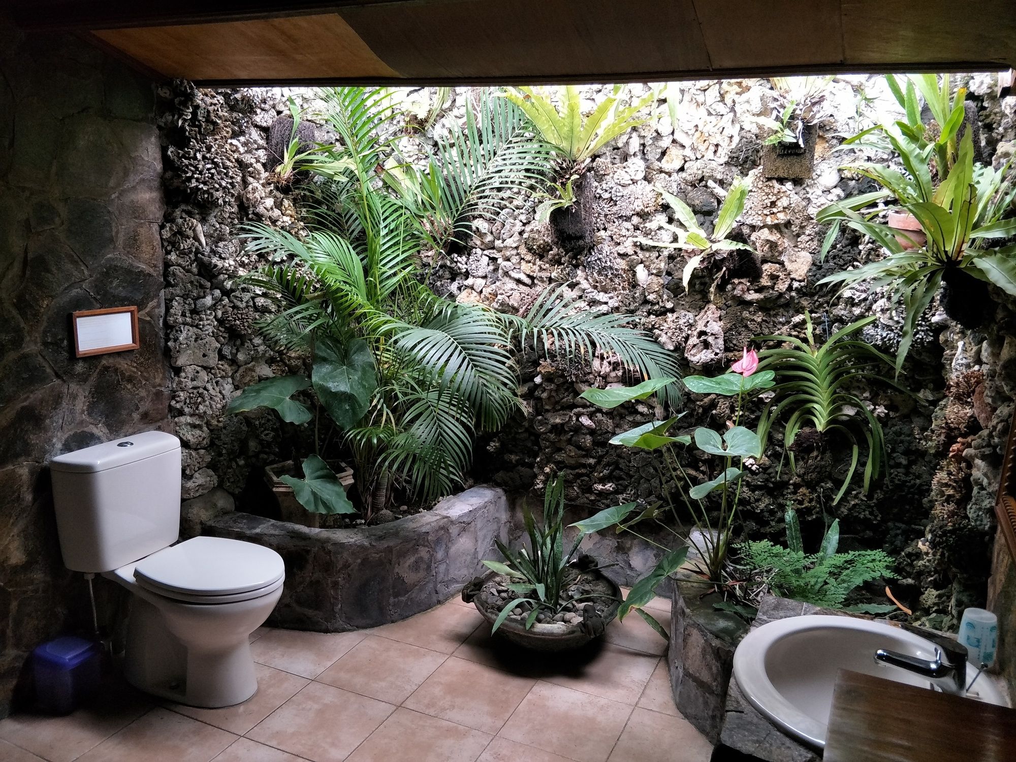 Temple Cafe & Seaside Cottages