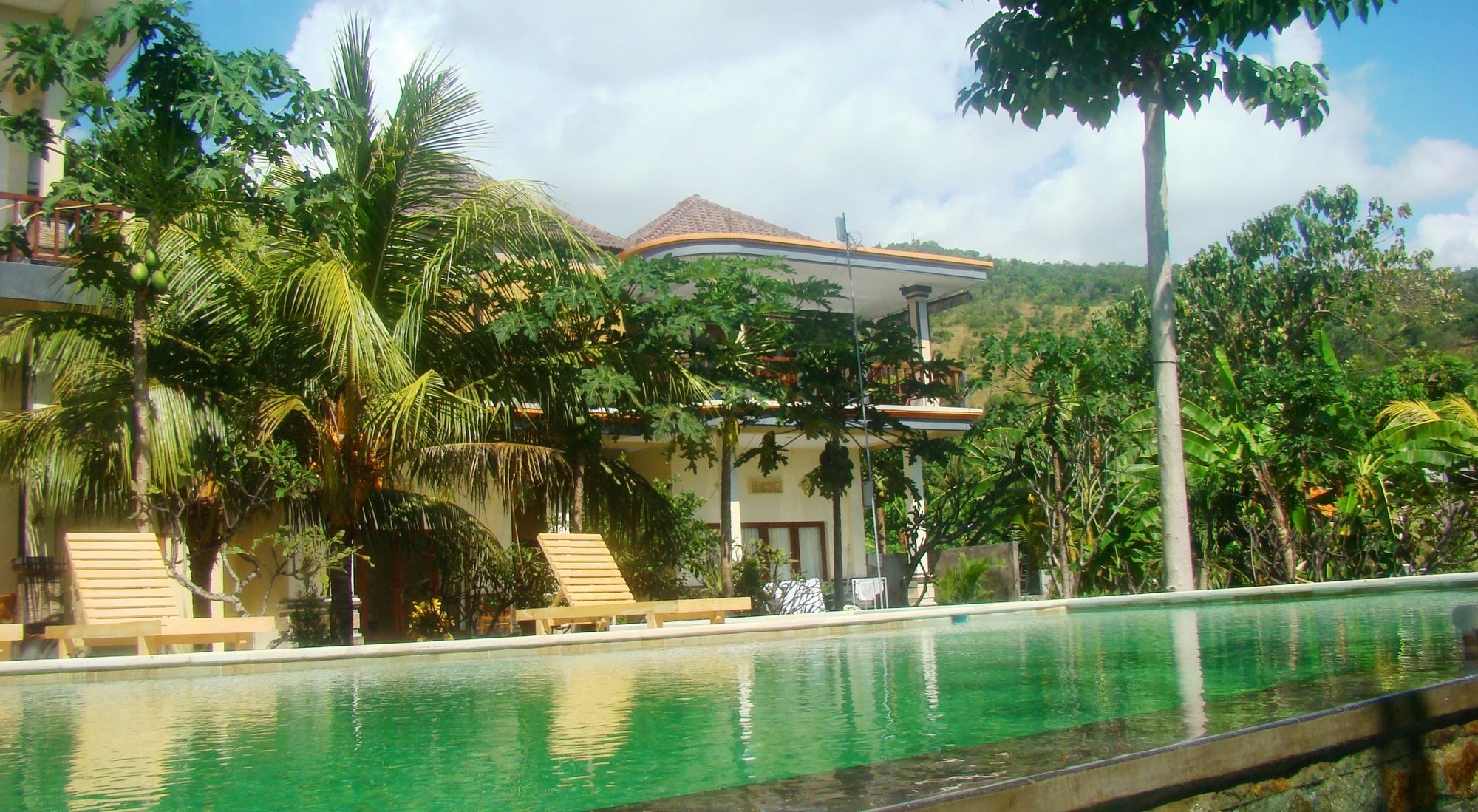 Villa Taman Padi