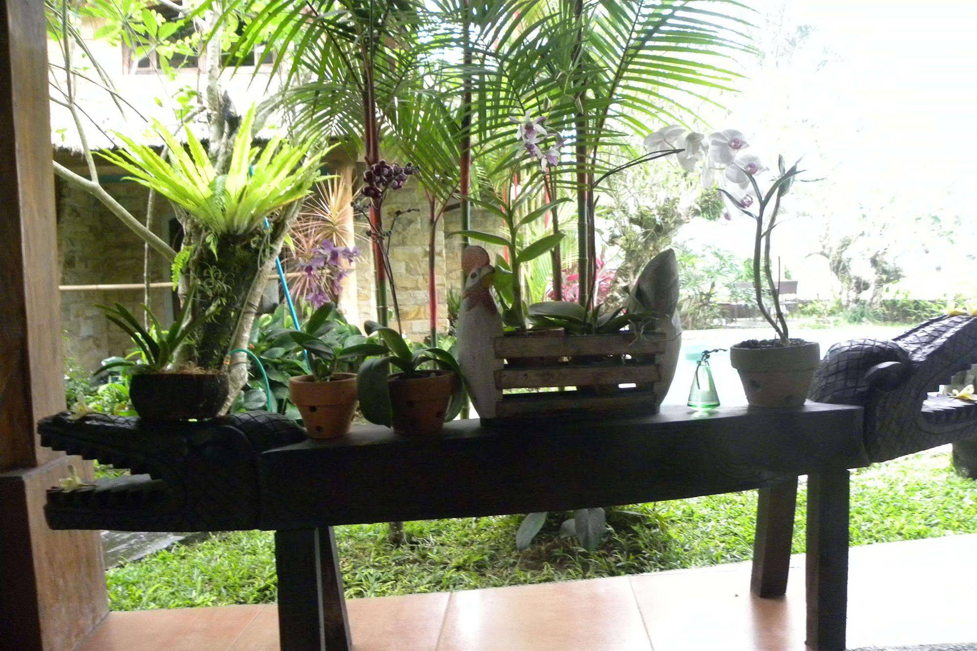Saudara Home
