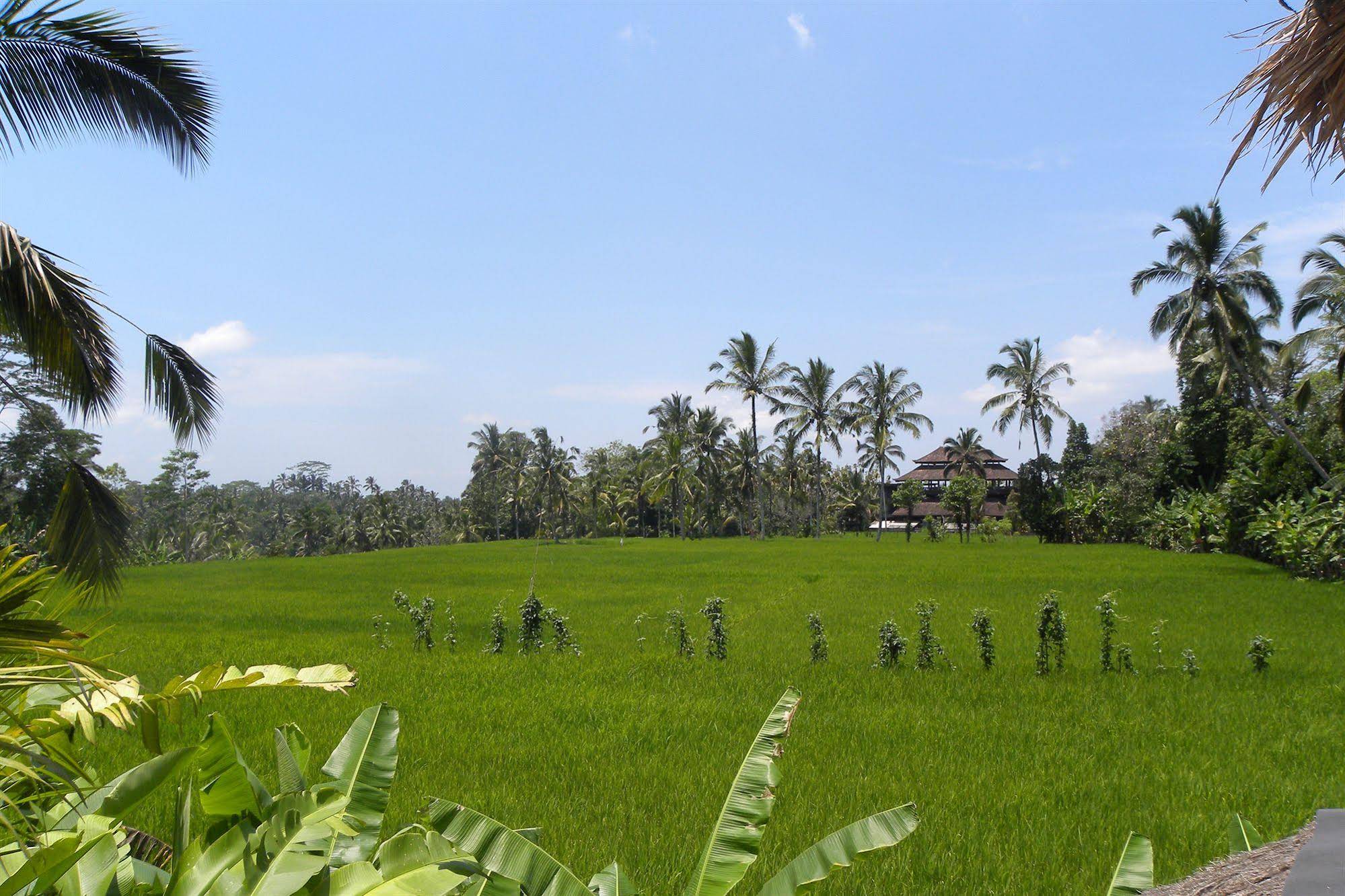 Saudara Home