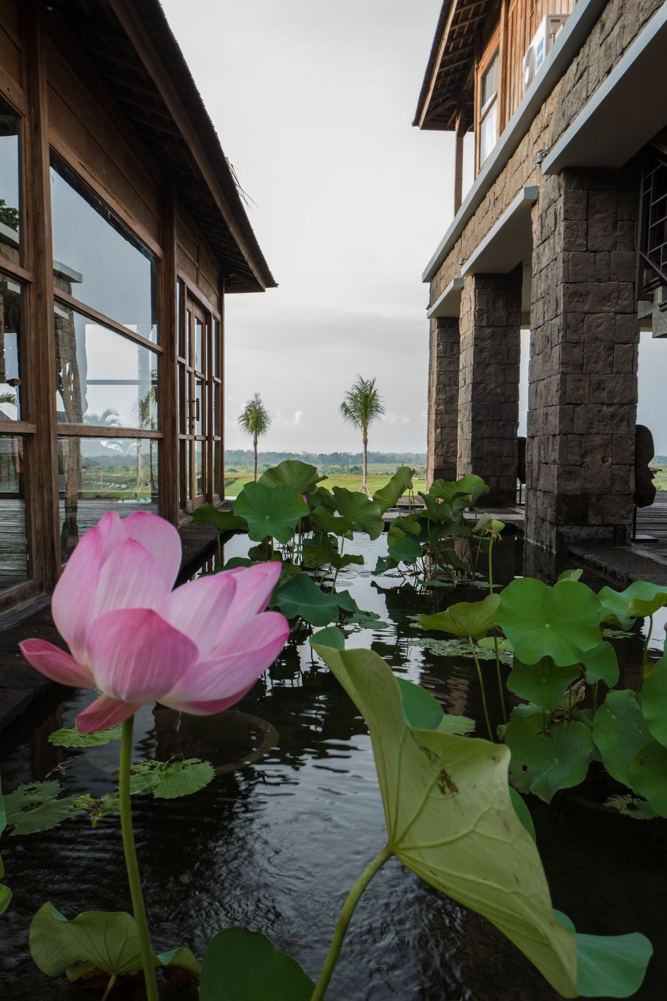 Alami Luxury Villas & Resort