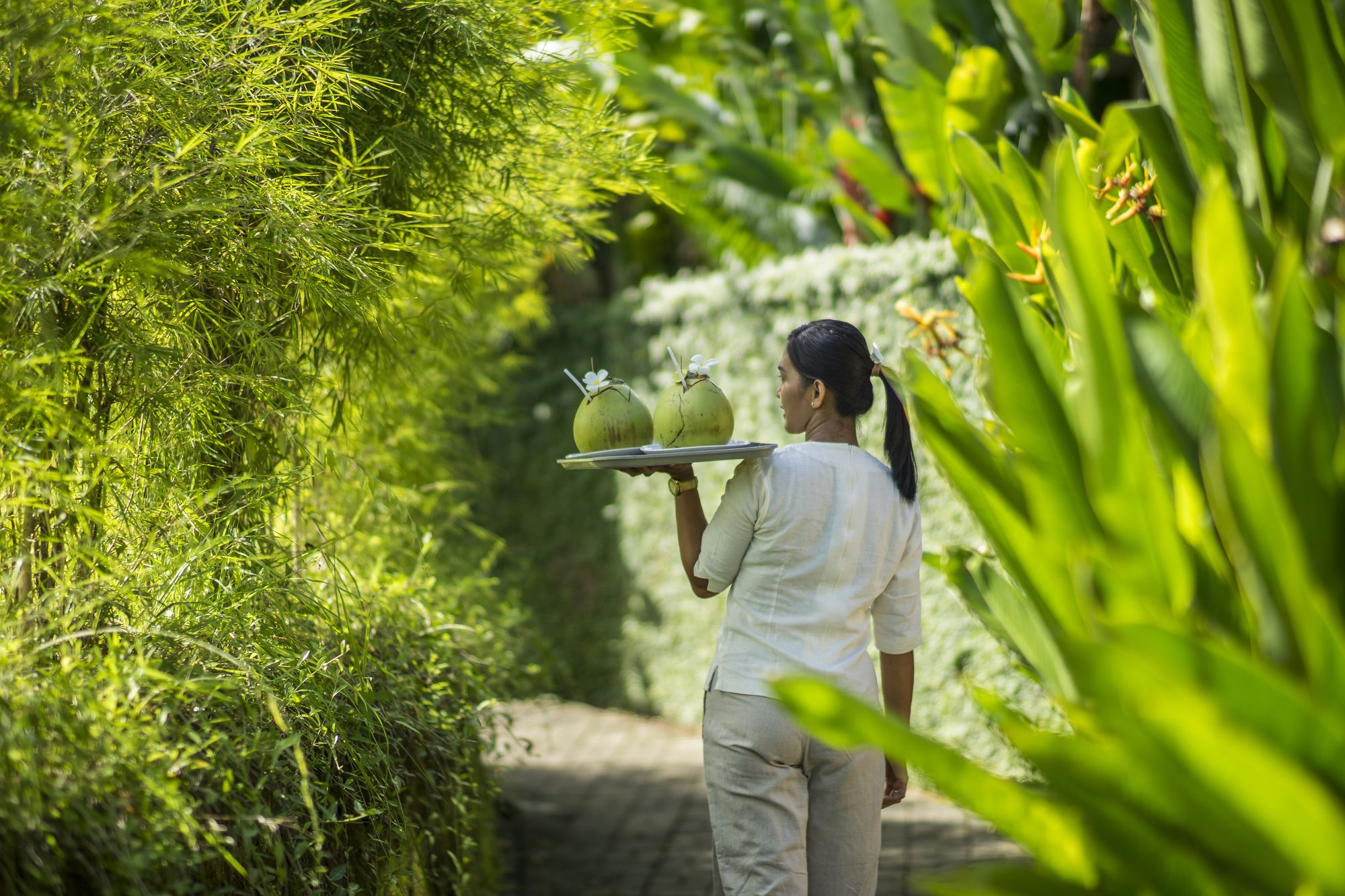 Alami Luxury Villas & Resort