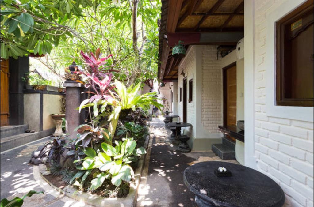 Danas Canggu Guest House