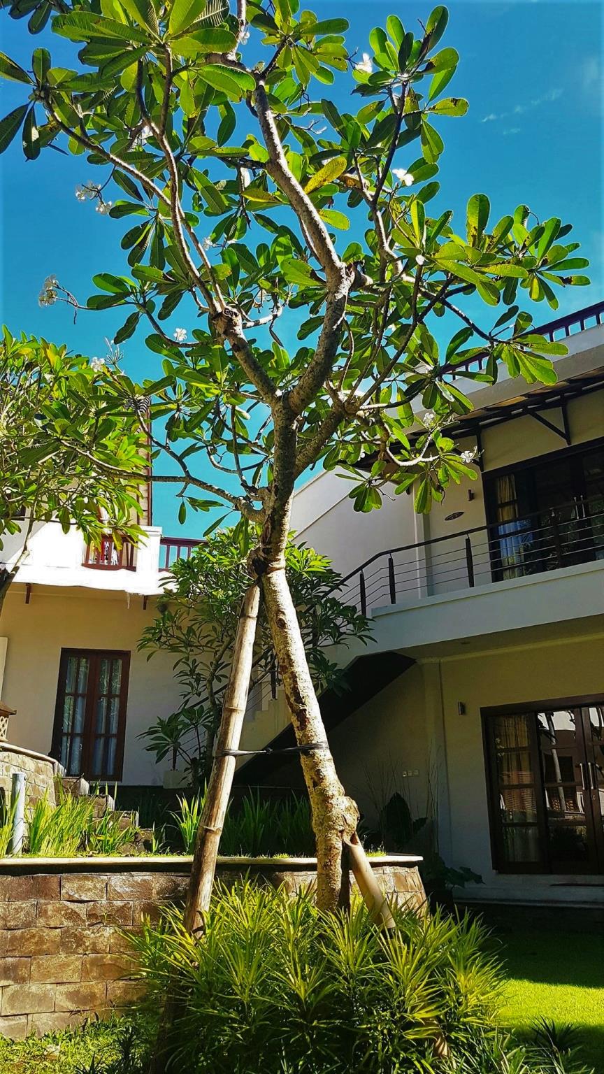 Ipanema Boutique Residence