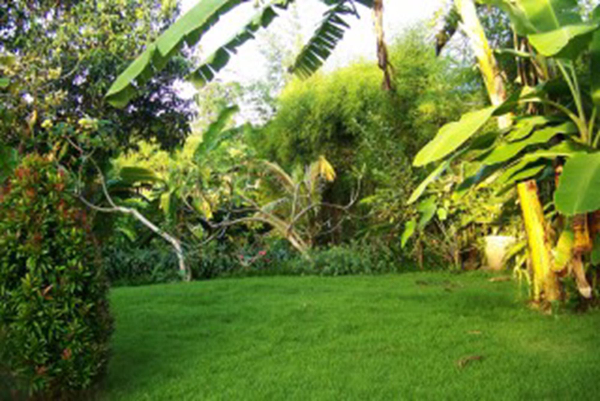 Kubu Ampo Villa