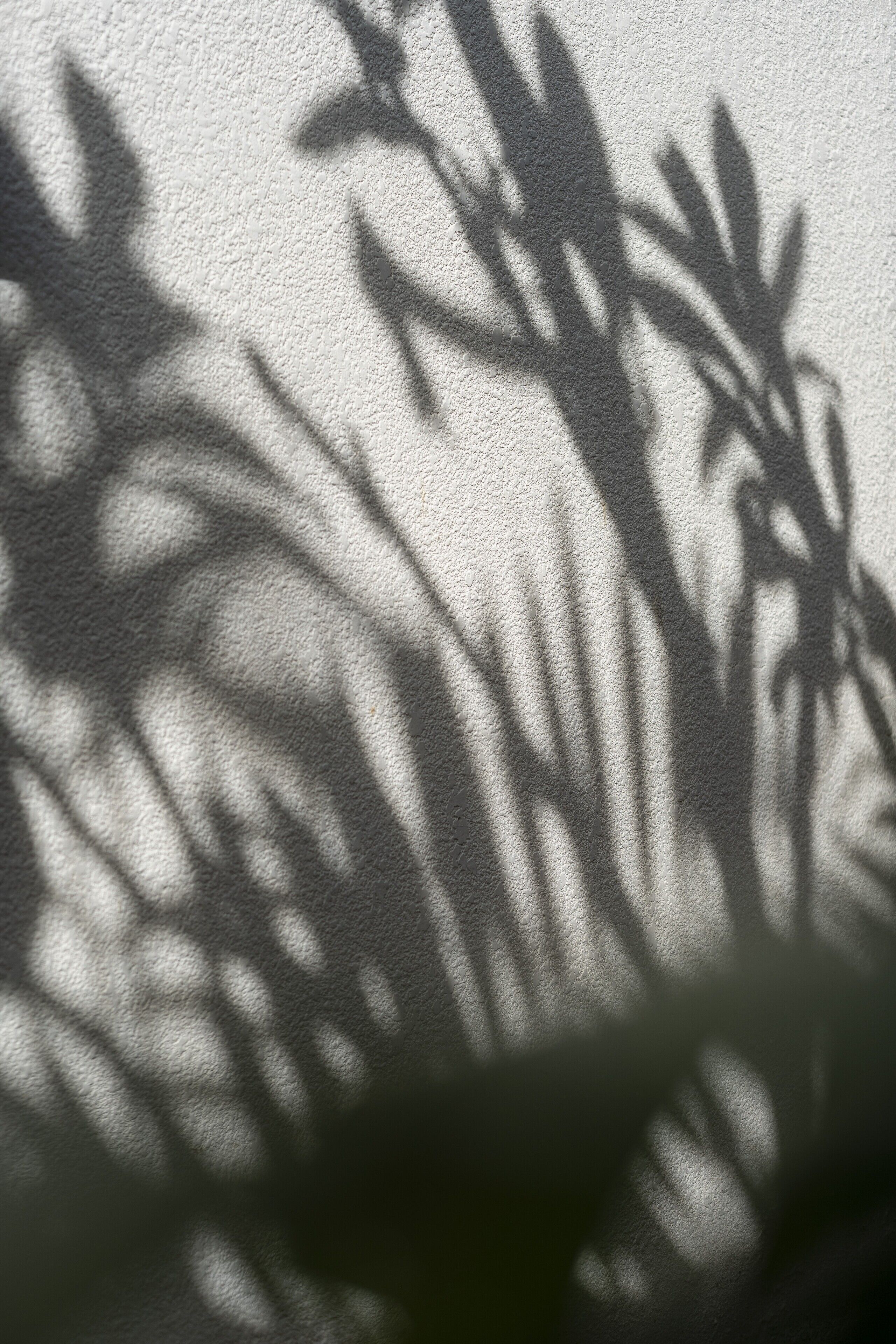 Monolocale