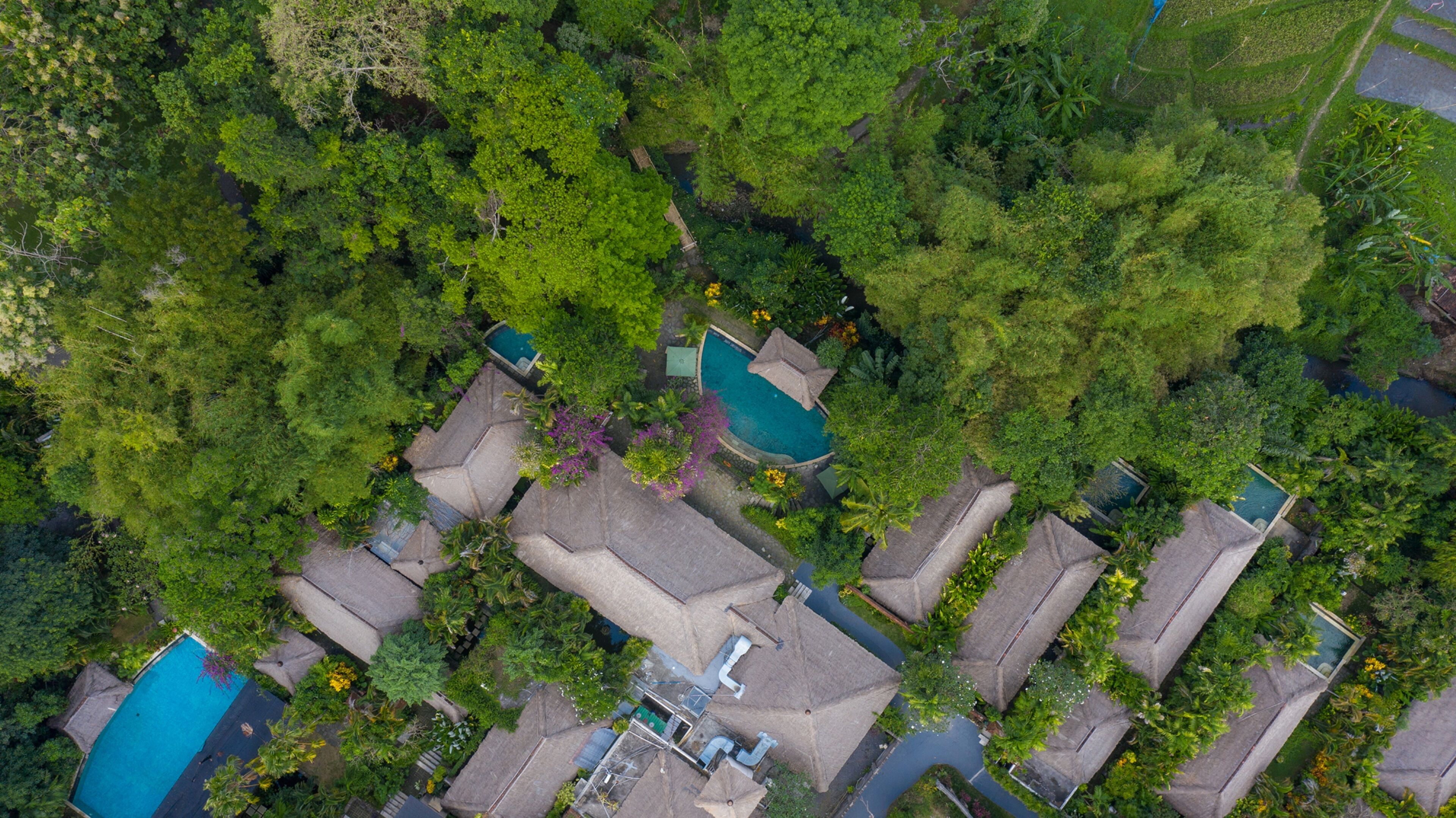 Plataran Canggu Bali Resort & Spa