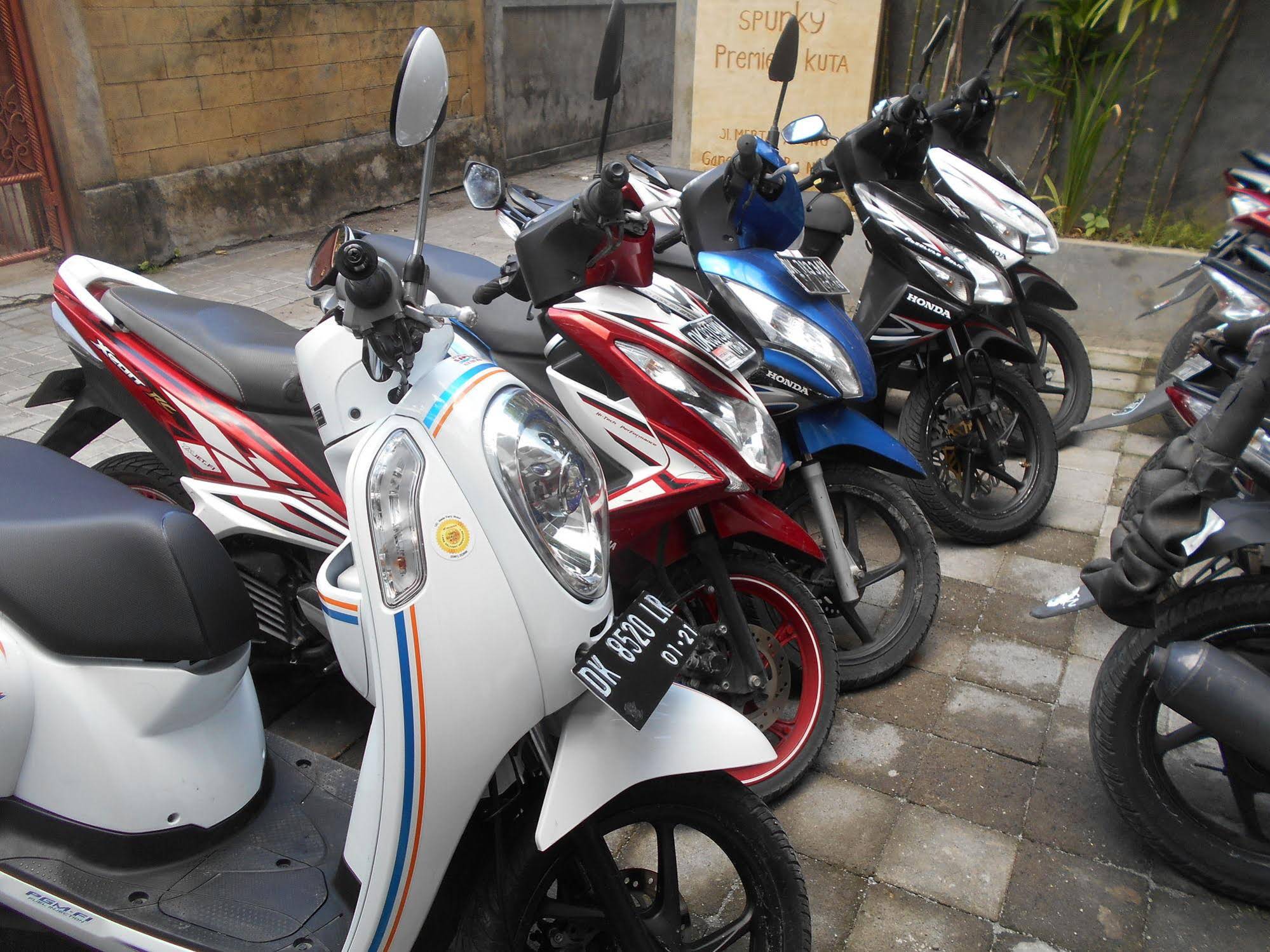 Spunky Premiere Kuta by Reddoors