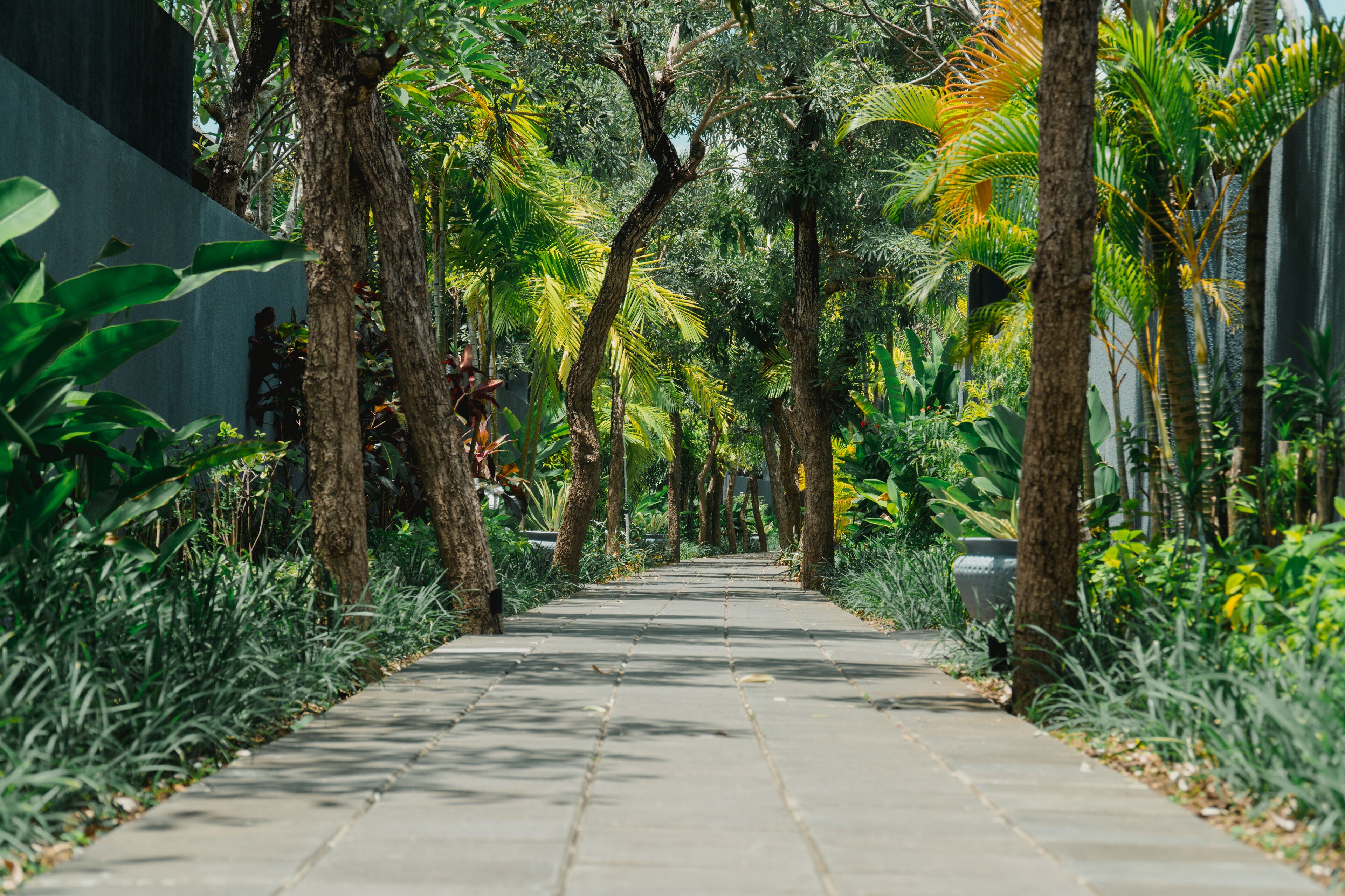 The Javana Royal Villas