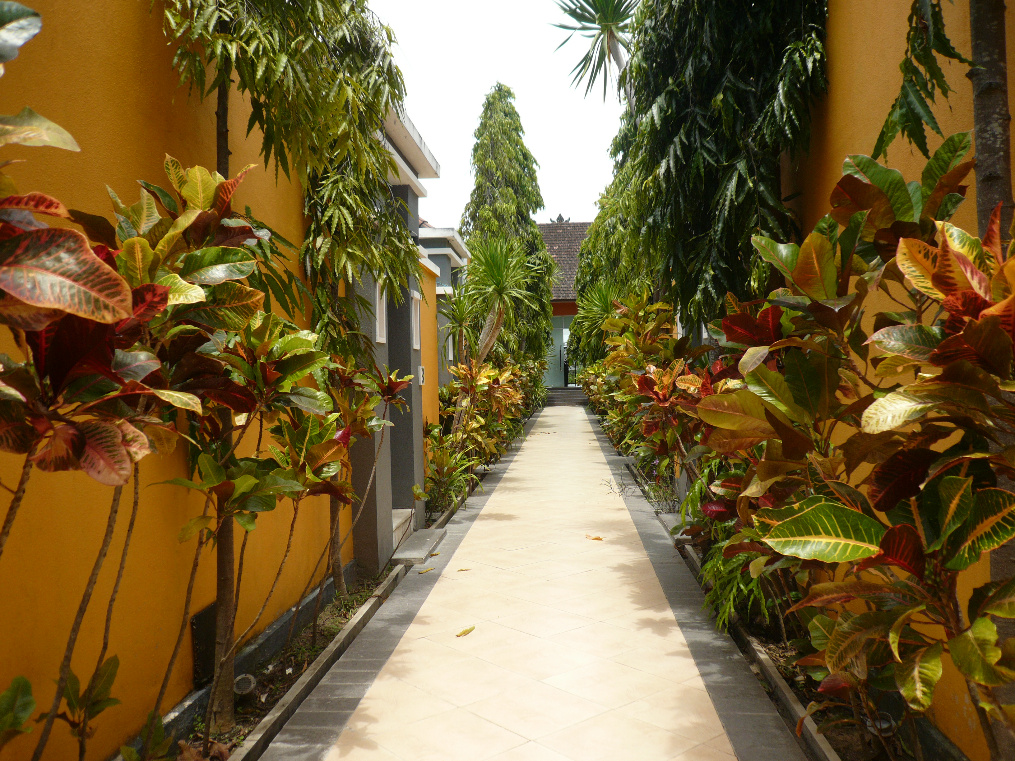 The Rishi Villa Umalas
