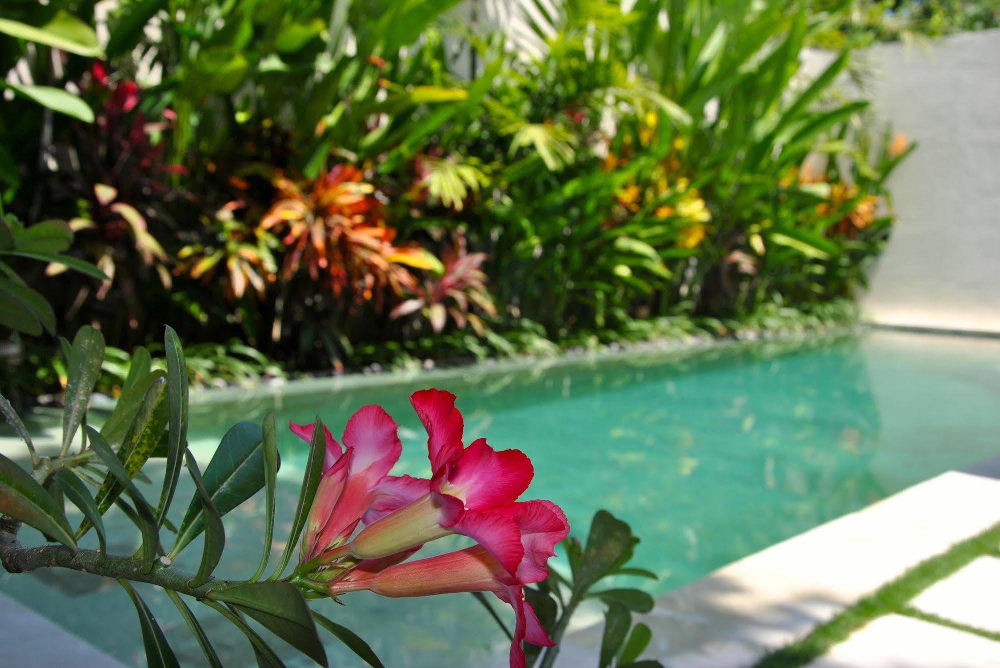 Villa Bali Asri Batubelig