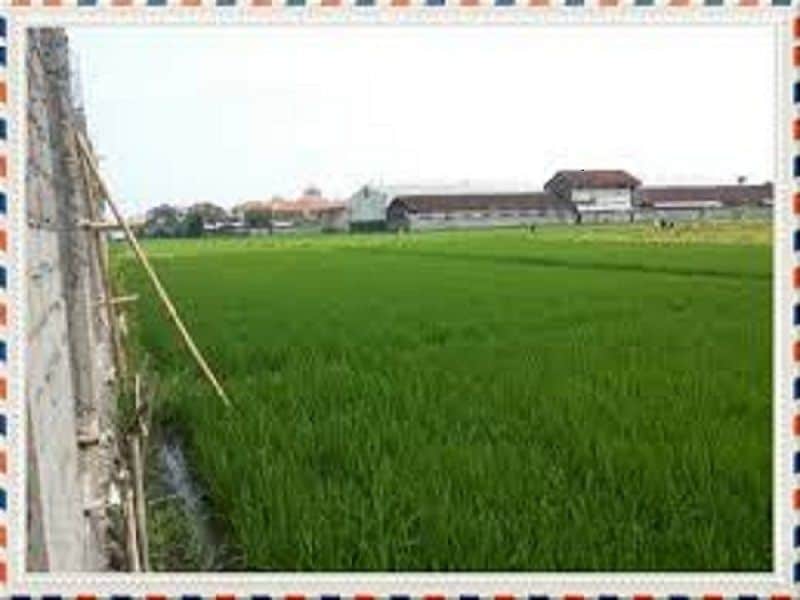 Villa D'Kerobokan