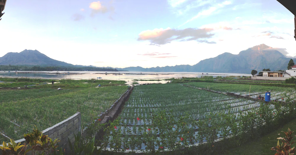 Kedisan Lake View by Atharva Bali