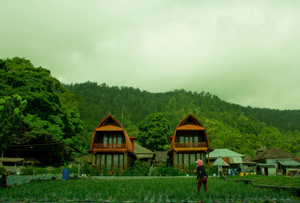 Kedisan Lake View by Atharva Bali