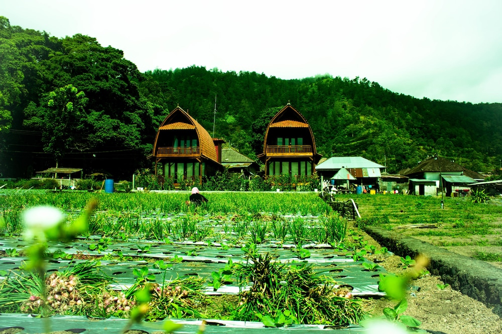 Kedisan Lake View by Atharva Bali