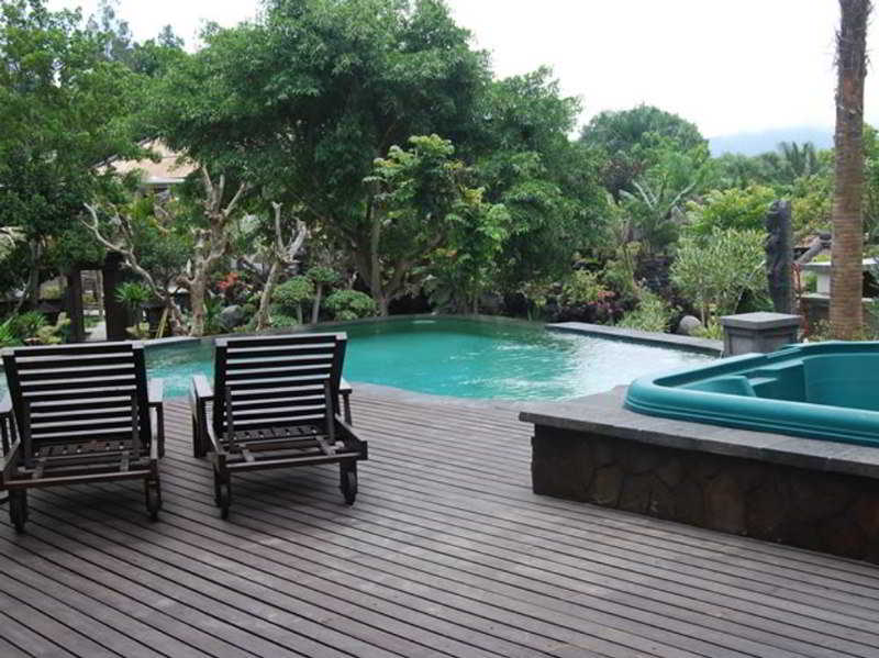 The Ayu Kintamani