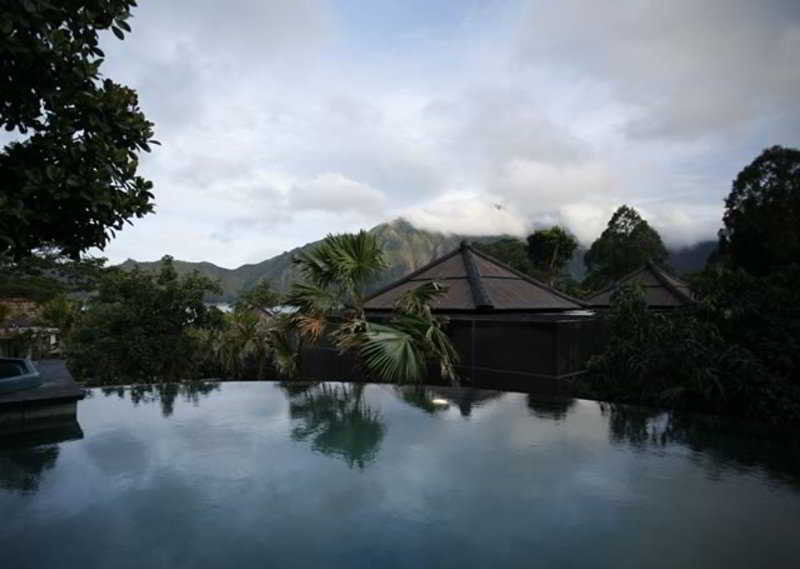 The Ayu Kintamani