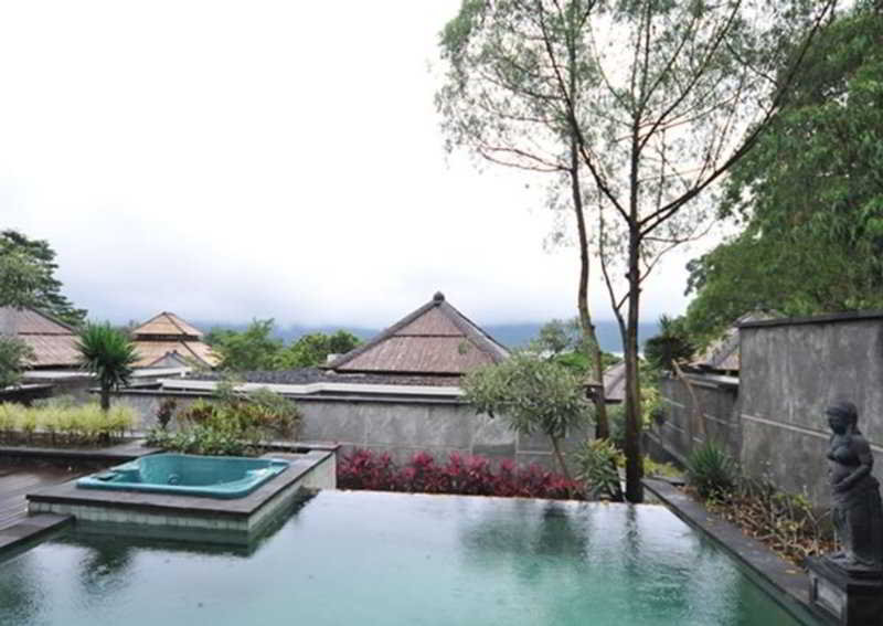 The Ayu Kintamani