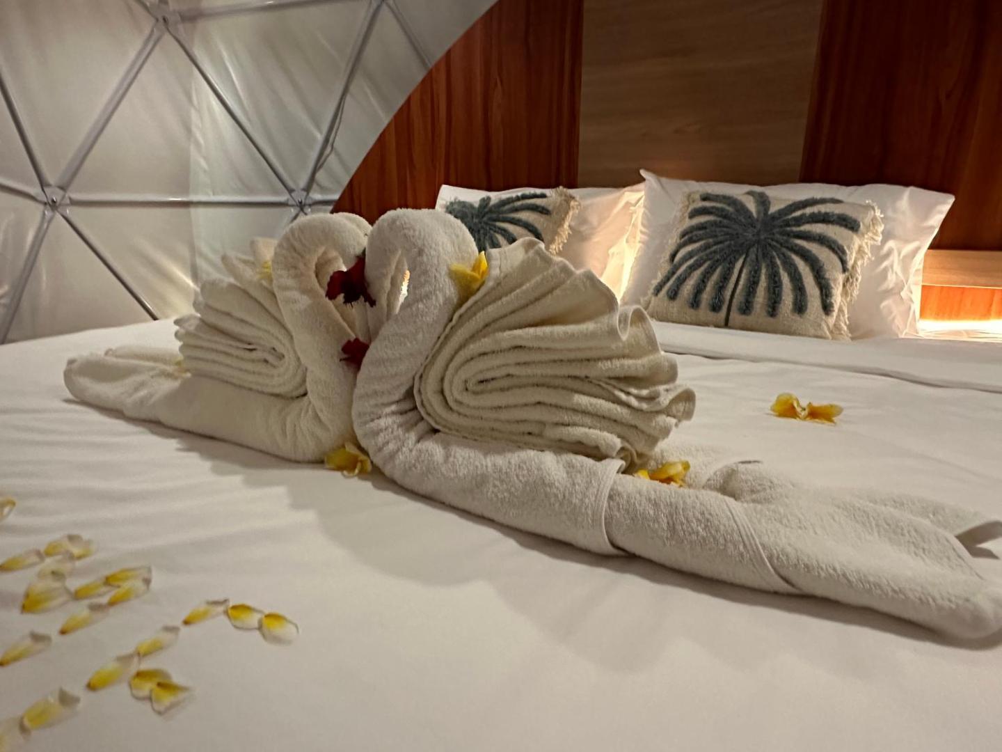 Glamping @ Pebbles & Fins