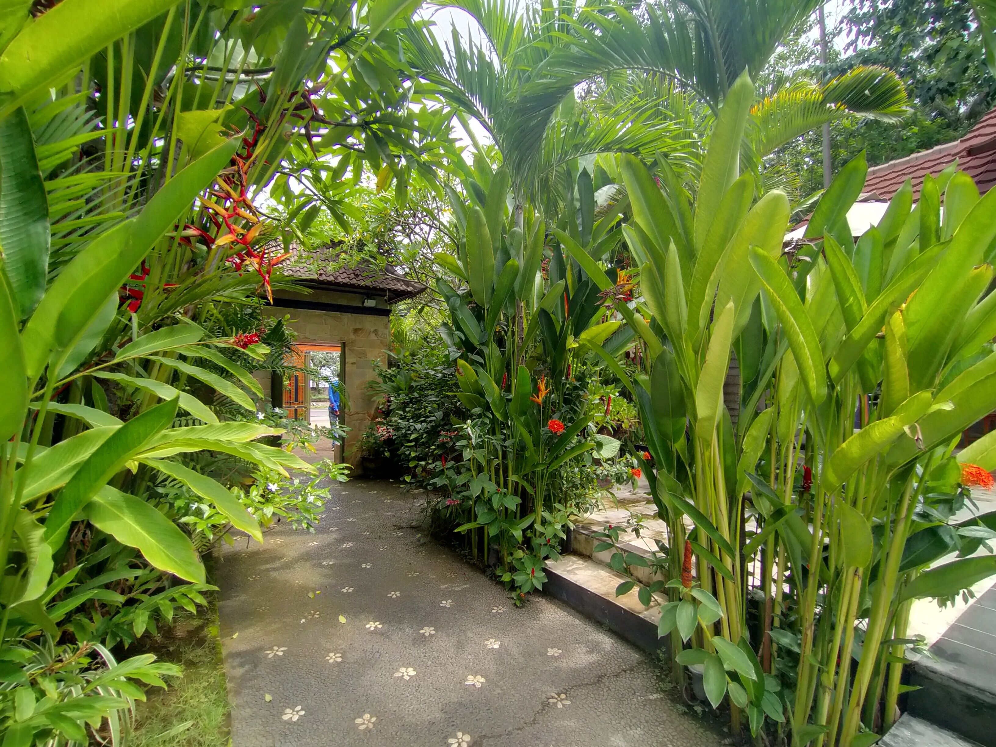 My Flowers Homestay