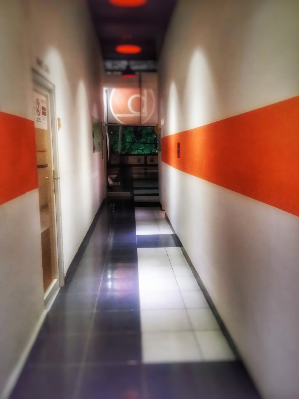 Bedbunkers Hostels