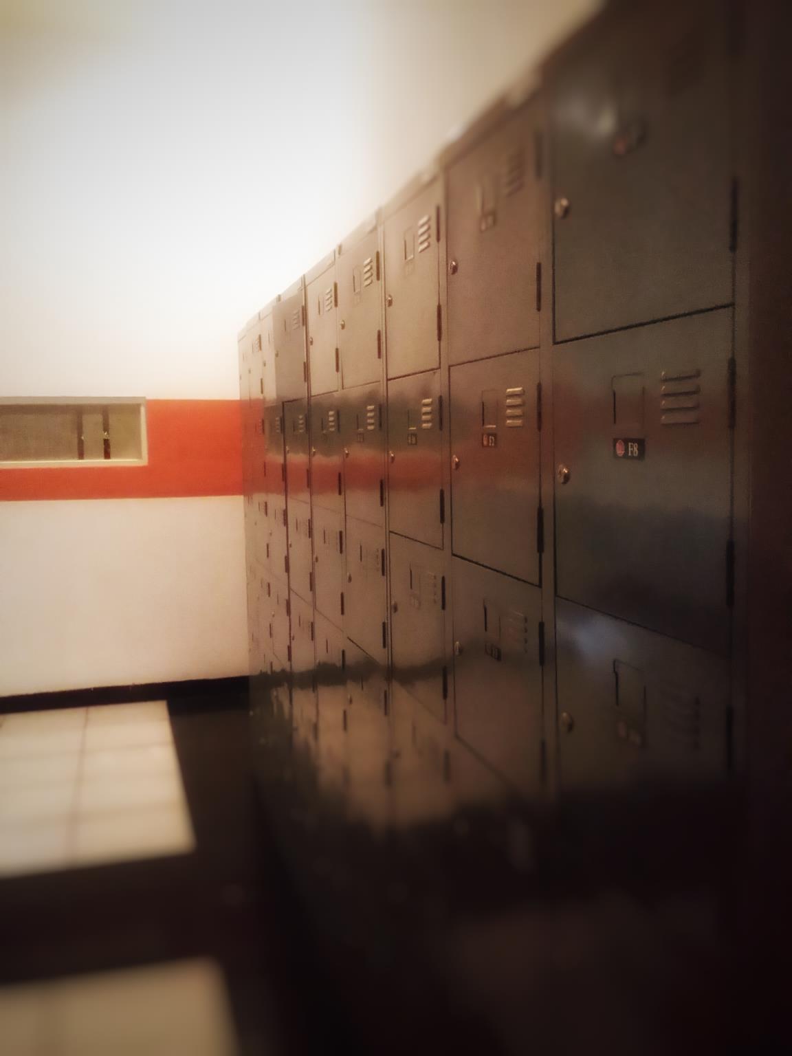 Bedbunkers Hostels