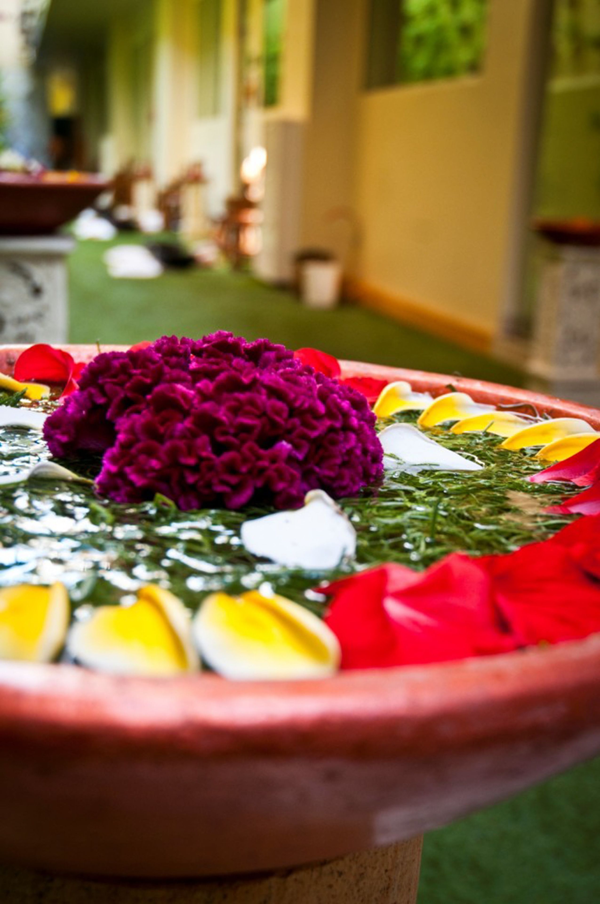 Febri's Hotel Bali