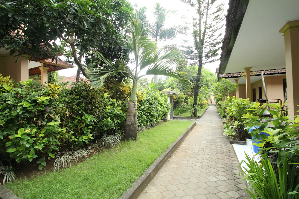 Hotel Lusa