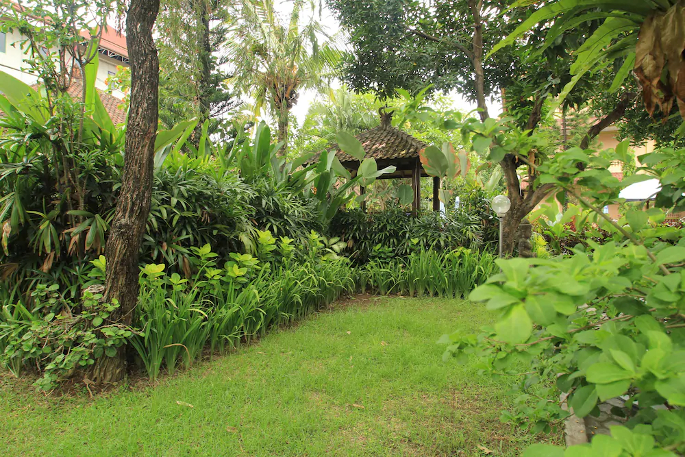 Hotel Lusa