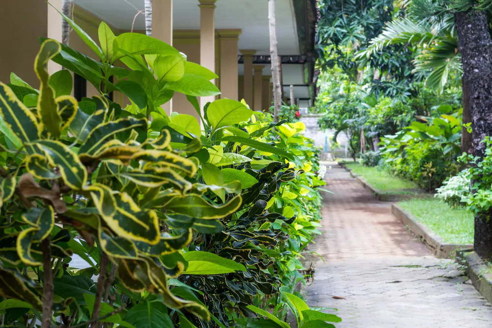 Hotel Lusa