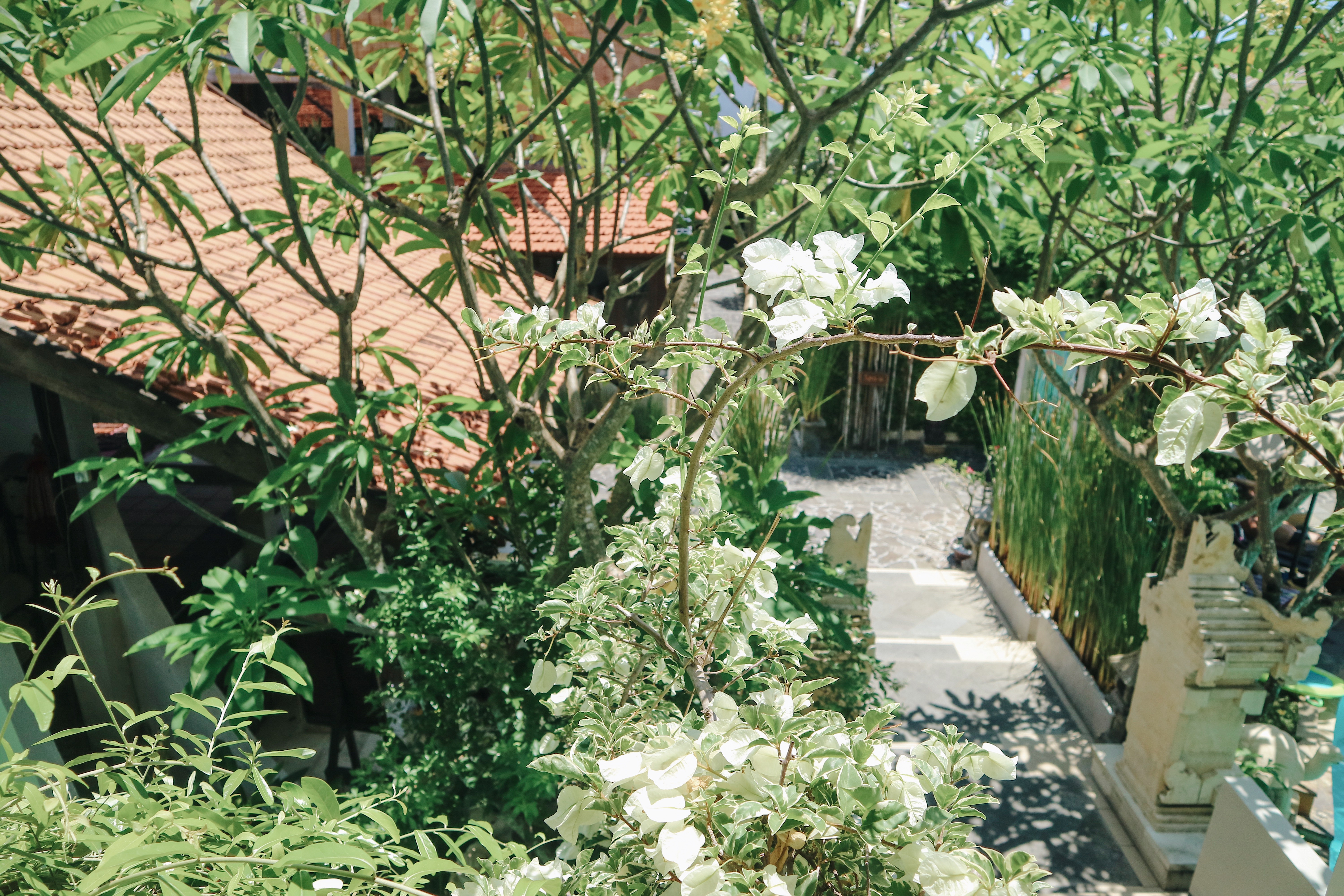 Kuta Lagoon Resort