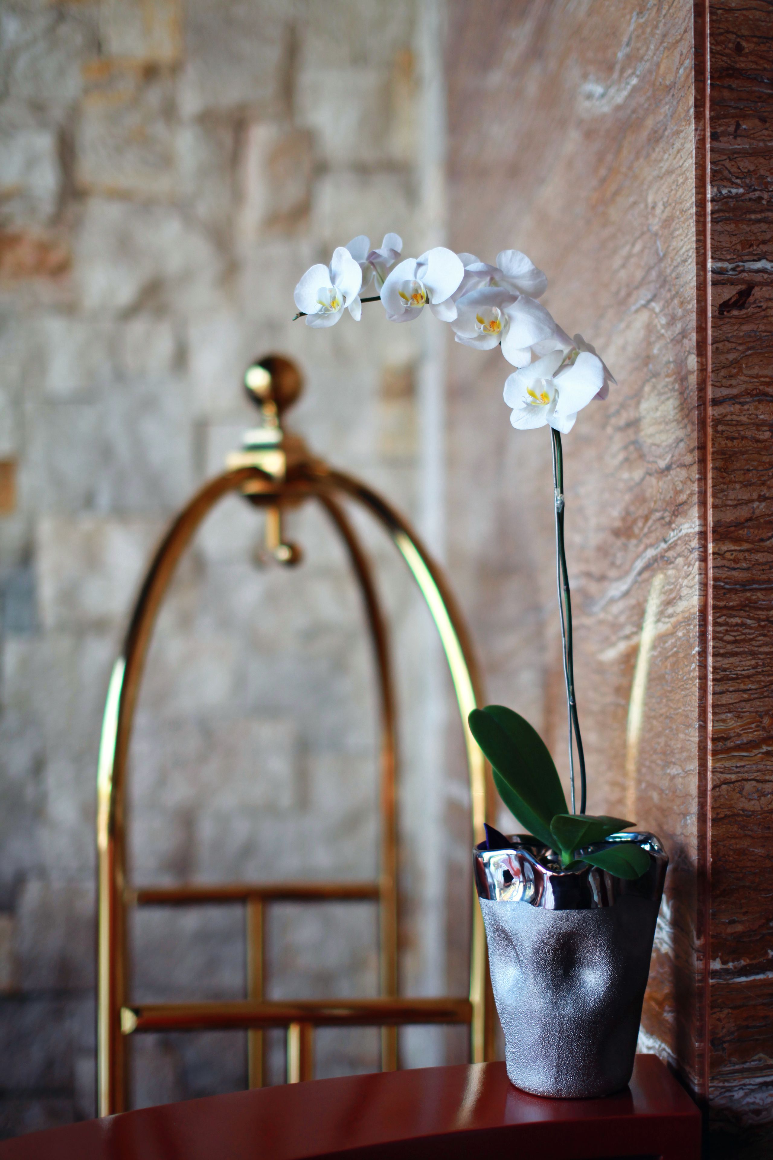 Mega Boutique Hotel & Spa