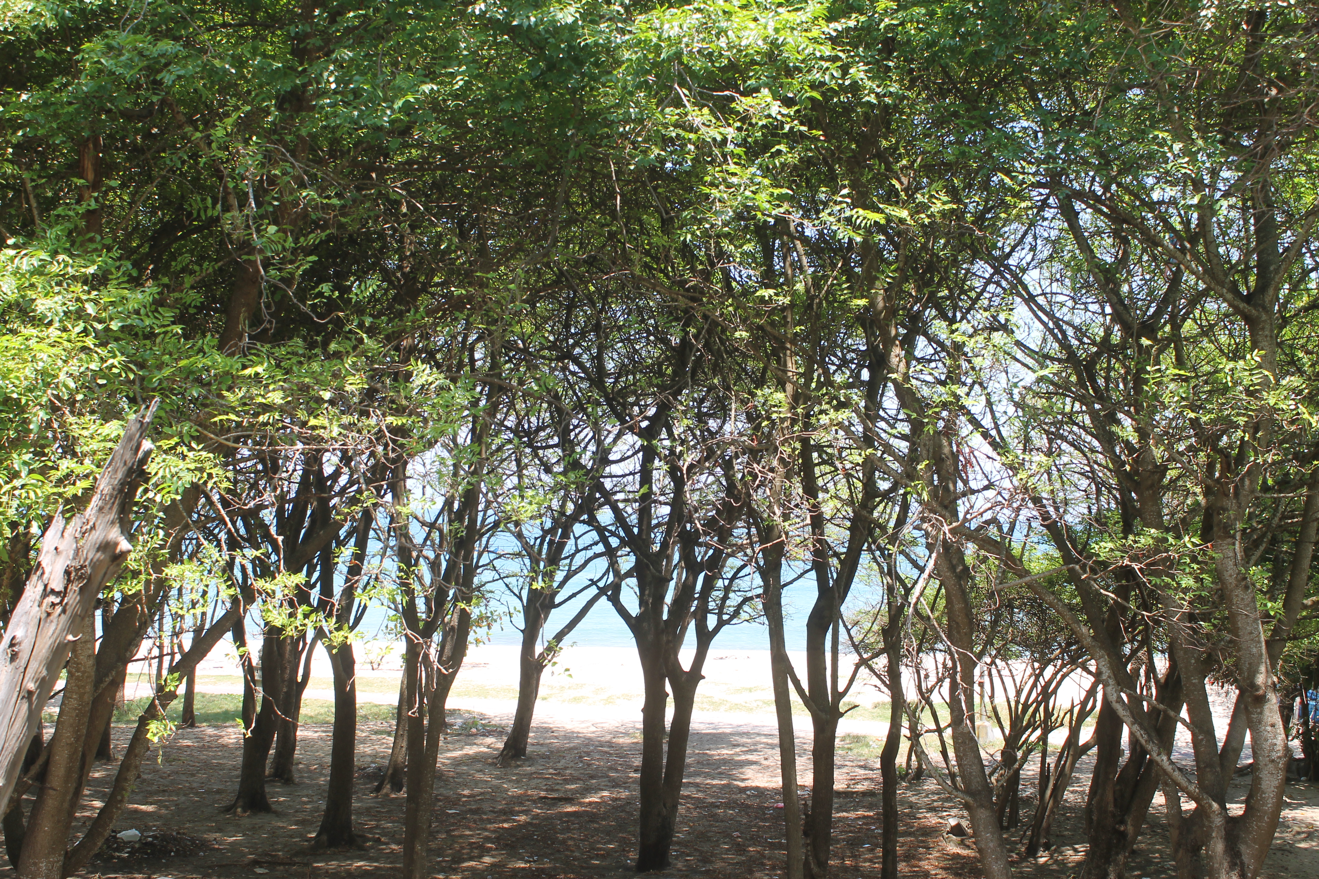 Melasti Kuta Bungalows & Spa