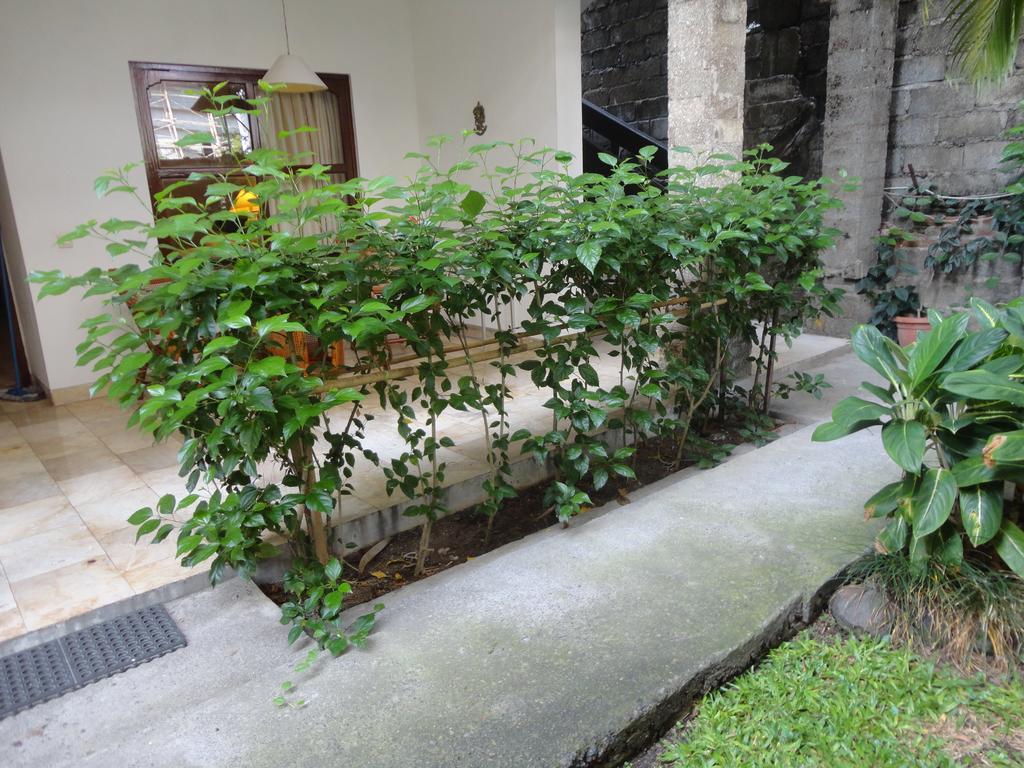 Sari Bunga