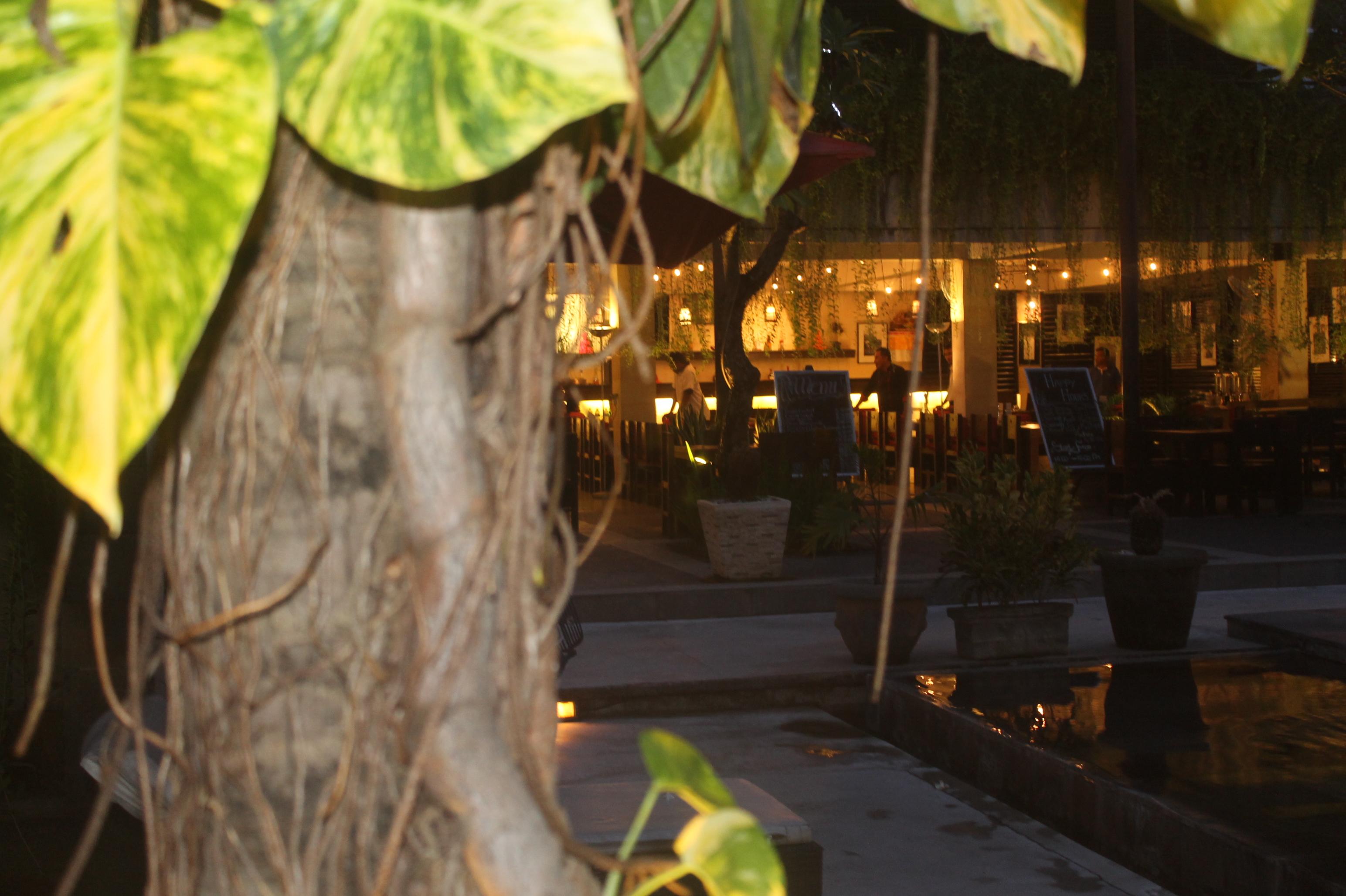 The Oasis Kuta