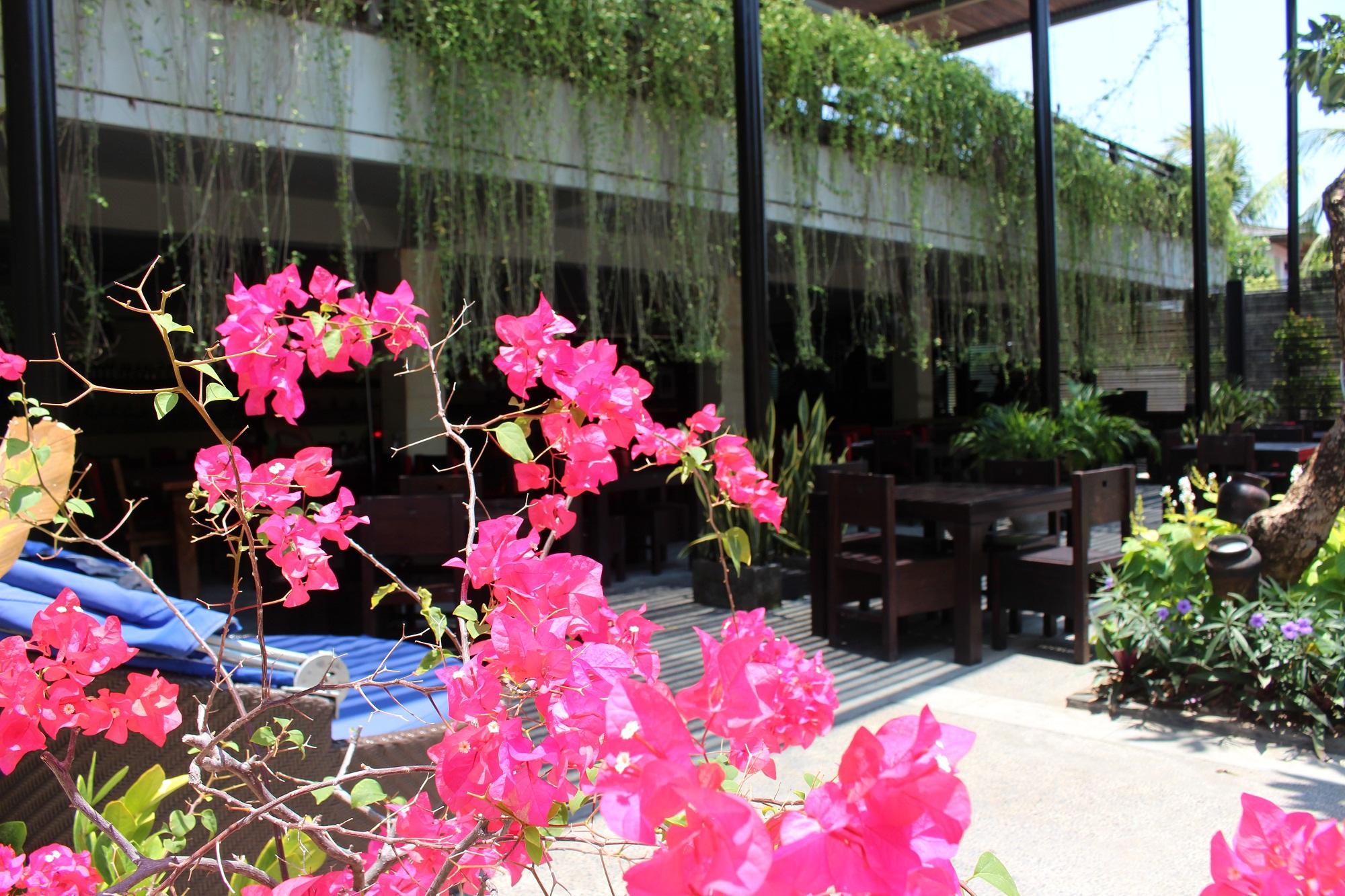 The Oasis Kuta