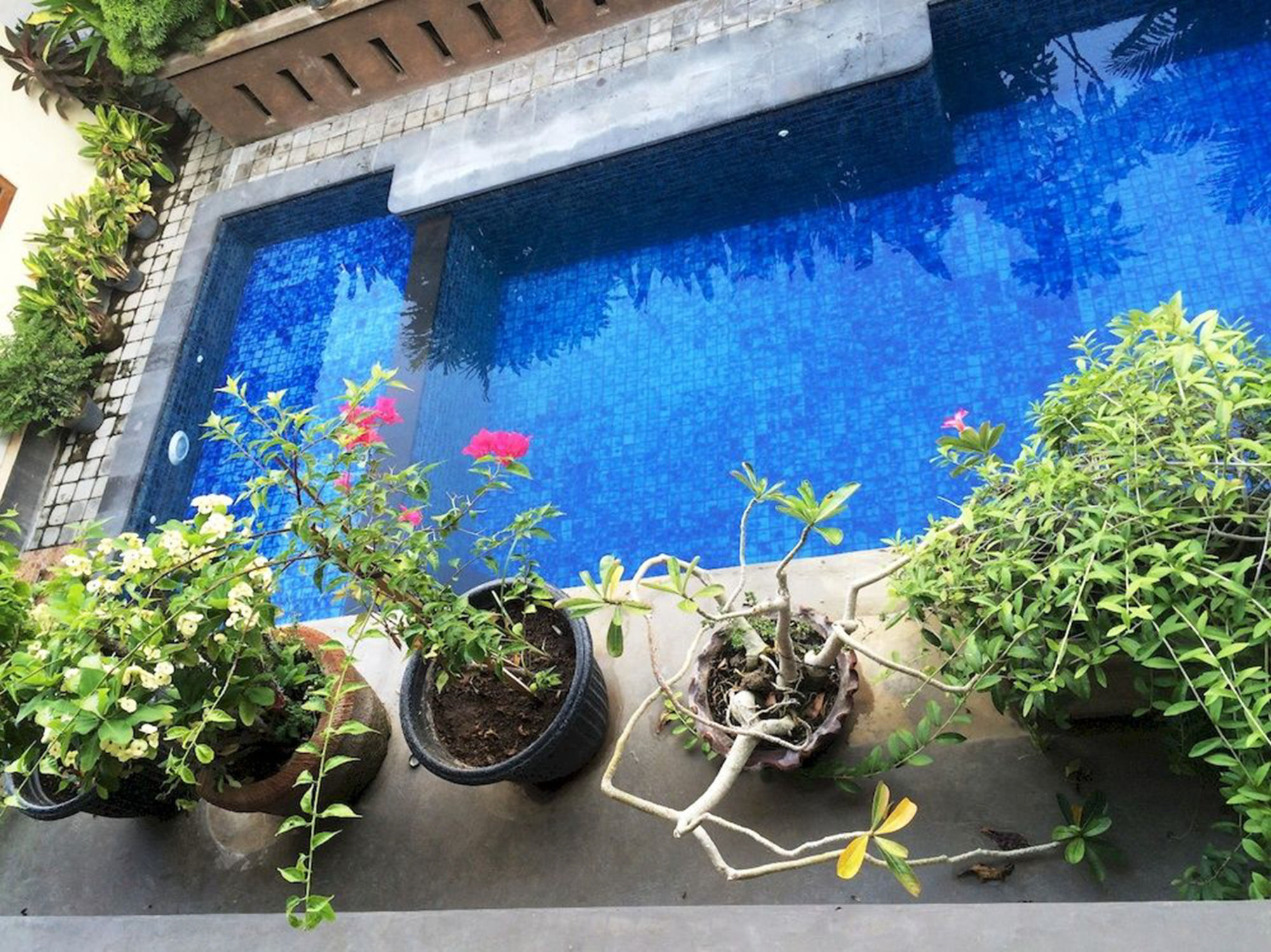 Waringin Home Stay