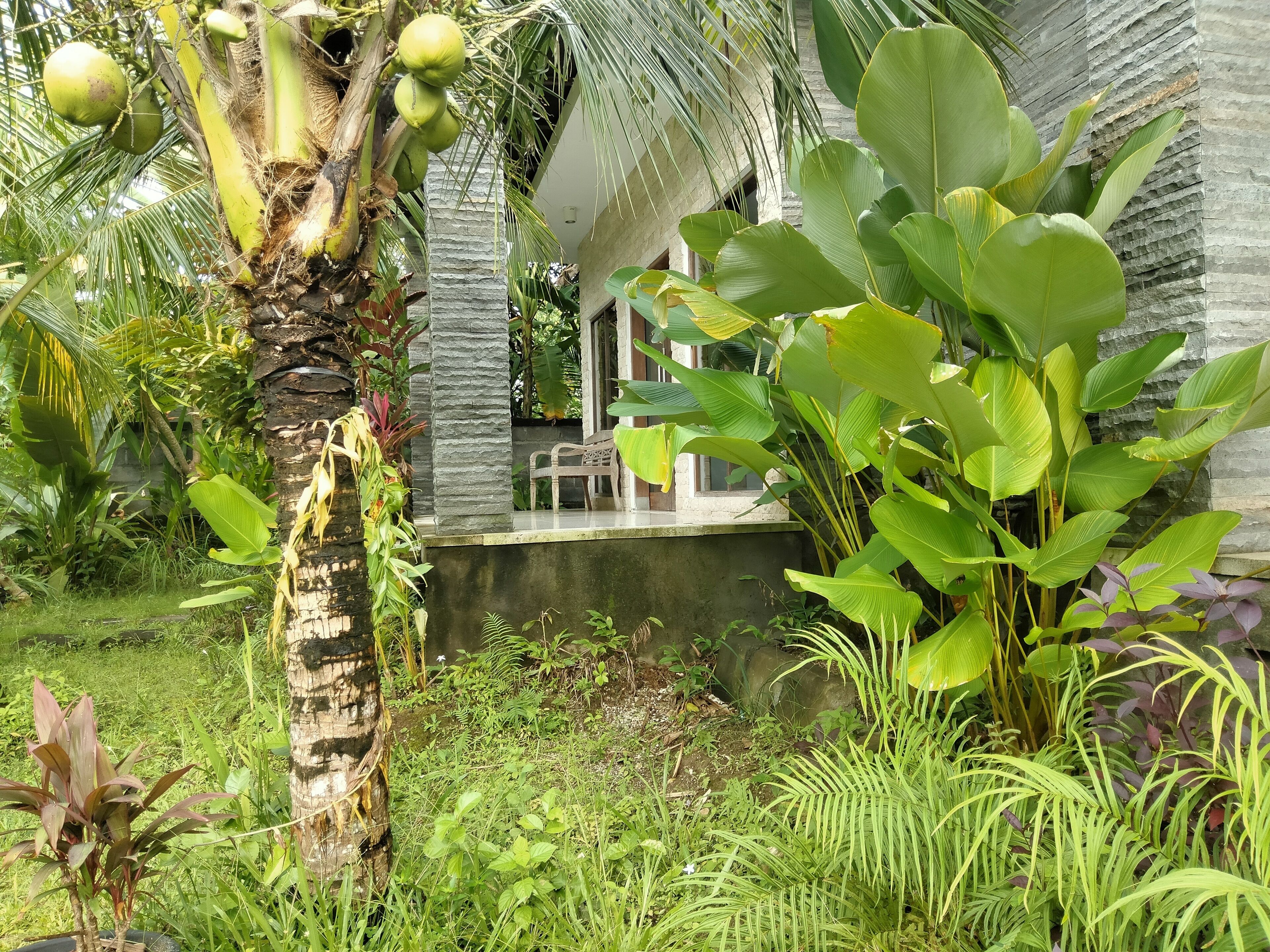 Pier26 Homestay Bali