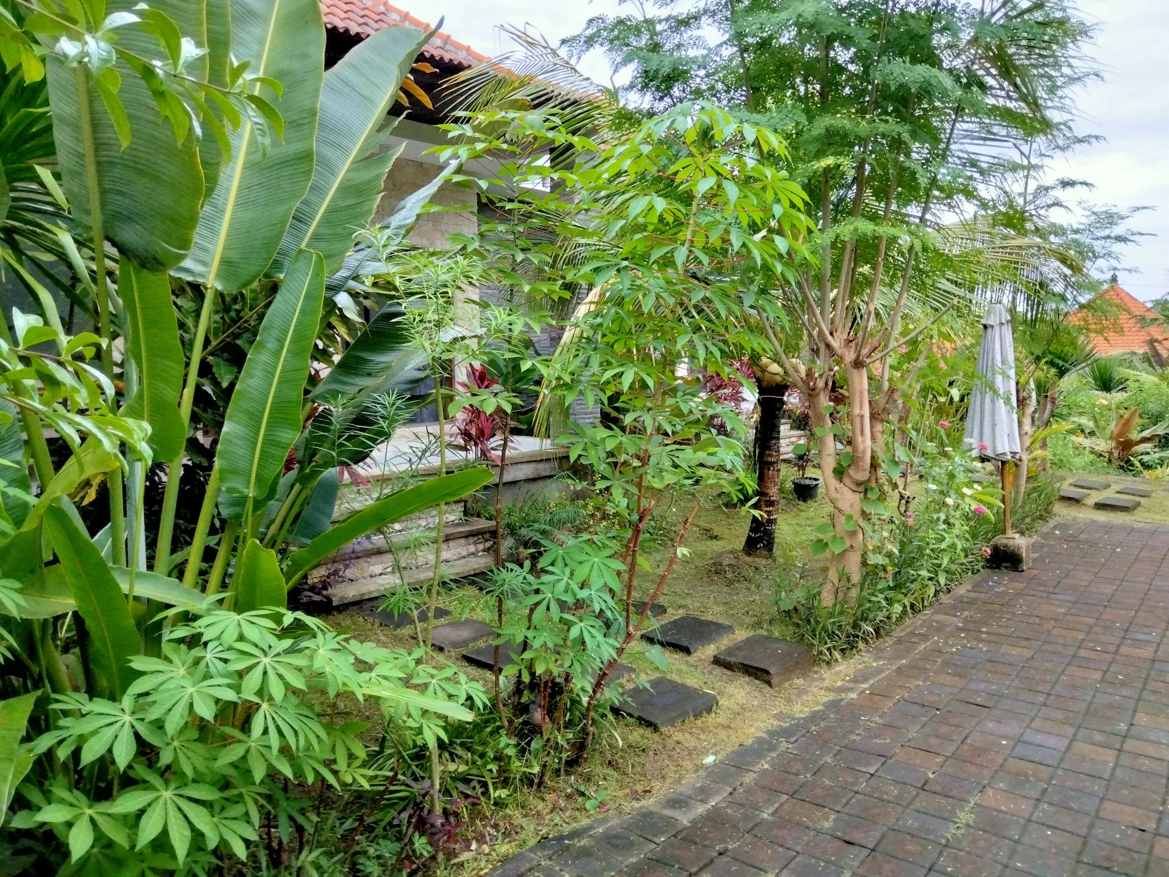 Pier26 Homestay Bali