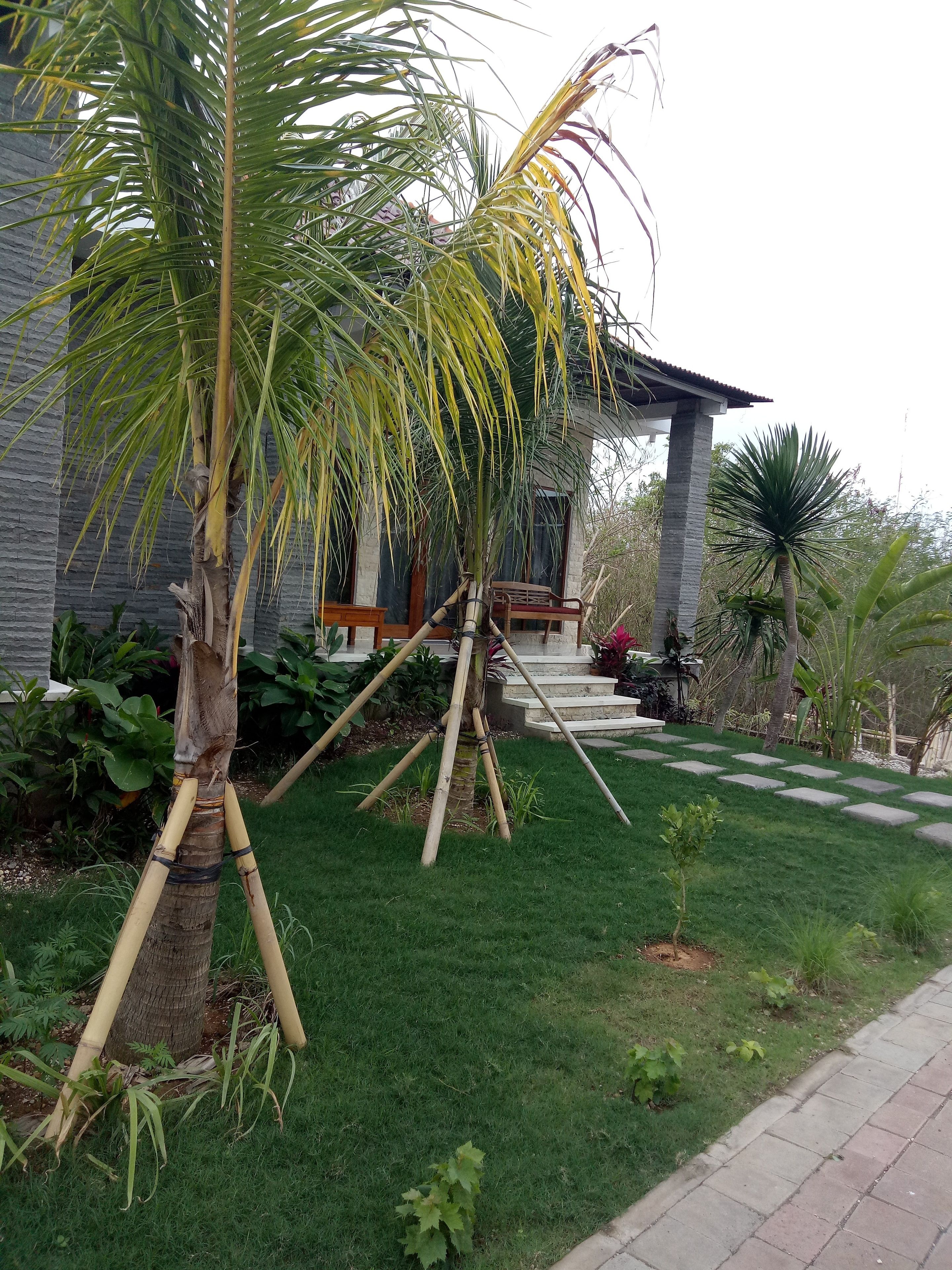 Pier26 Homestay Bali