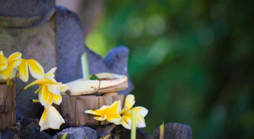 Bali Chaya Hotel